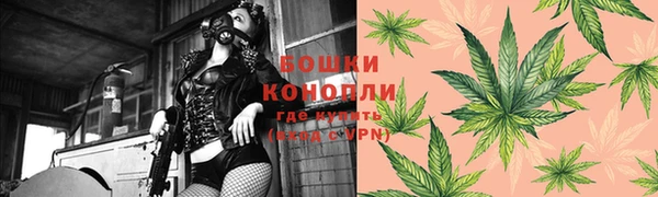 индика Аркадак