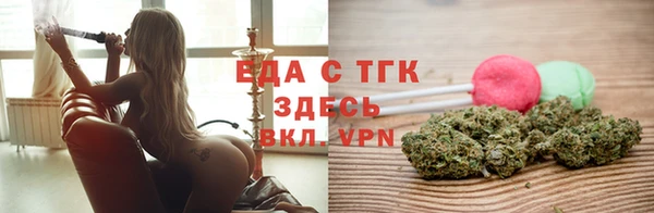 индика Аркадак