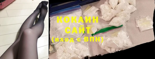 индика Аркадак
