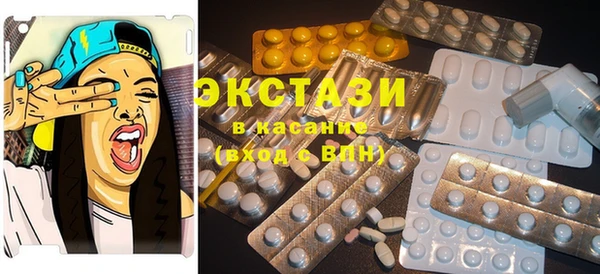 индика Аркадак