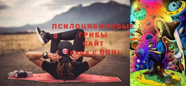 прущие крисы Арсеньев