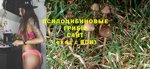 индика Аркадак