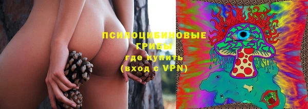 прущие крисы Арсеньев